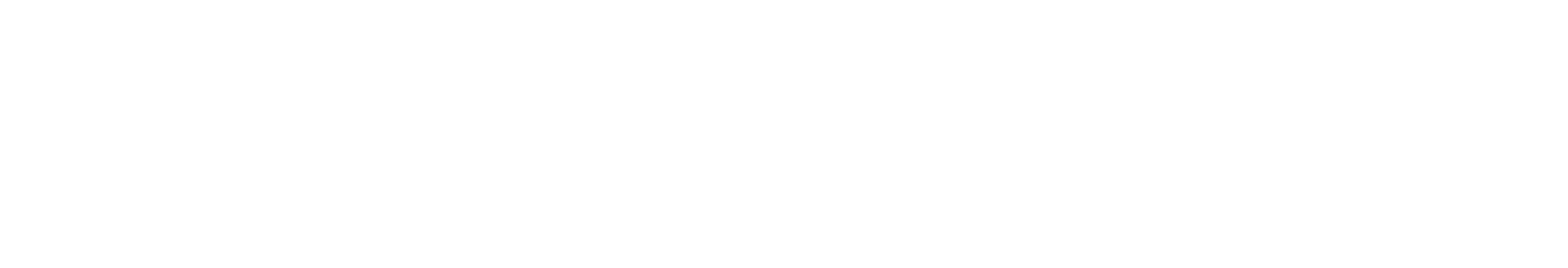 Madlienas Sporta Centrs